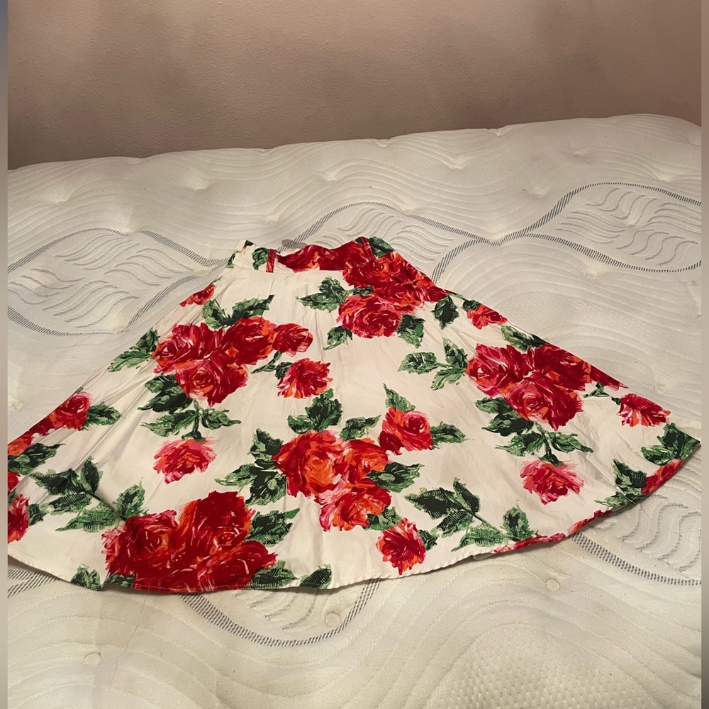 Pinup Girls Clothing Skirt